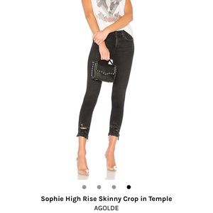 AGOLDE High Rise Skinny Crop Jean